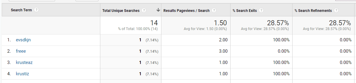 site search terms-analytics